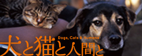 犬と猫と人間